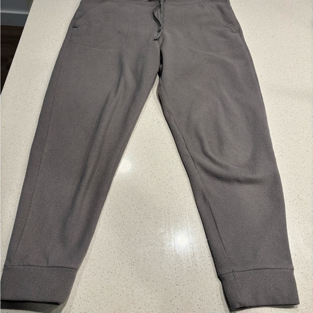 Patagonia Gray Track Pants